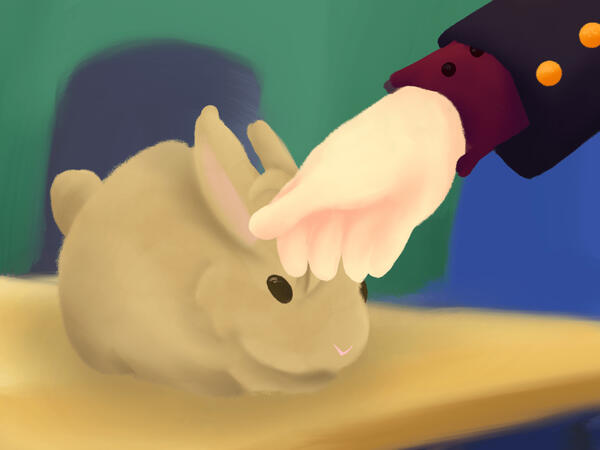 Bunny Pat Bunny Pat