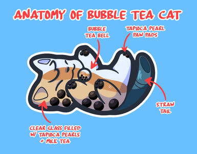 Anatomy of Bubble Tea Cat Anatomy of Bubble Tea Cat
